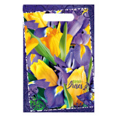 Пакет с вырубной ручкой 20х30см 30мк Строгий ирис