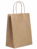 Пакет-сумка крафт 22+12x28см, 70г/м2, с кручеными ручками (1уп=10шт)